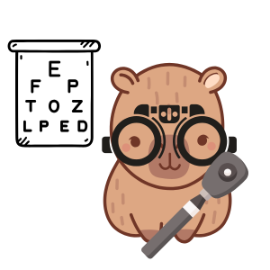 Examen visual completo